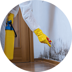 Water damage restoration